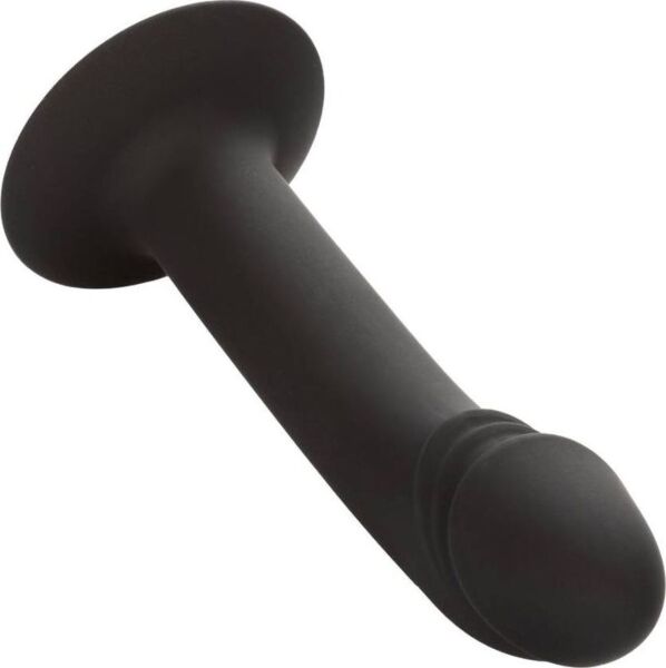Analdildo CalExotics Curved Anal Stud med buet spids og base med sugekop