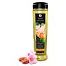Massageolie Shunga Almond Blossom med sød mandelaroma