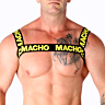 Double Yellow Sele fra Macho Underwear | Justerbart Design