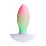 Vibrator Paradise Pleasure Products The Plug med RGB lys
