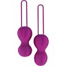 Vaginal Kugler Nomi Tang IntiMate Plus til Kegel Træning