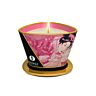 Shunga Mini Caress Massage Lys 170 ml