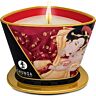 SHUNGA Mini Caress Massage Lys 170 ml