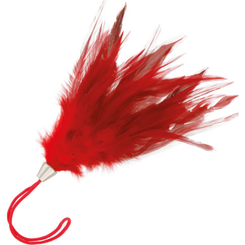 Bondage Tilbehør Darkness Rød Stimulerende Pen til Sensuel Leg