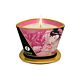 Shunga Mini Caress Massage Lys 170 ml